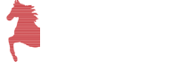 LEANYOU瓴譽(yù)